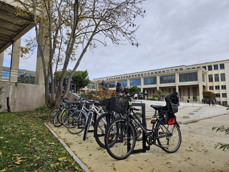 Entraide étudiante et balade à vélo conviviale