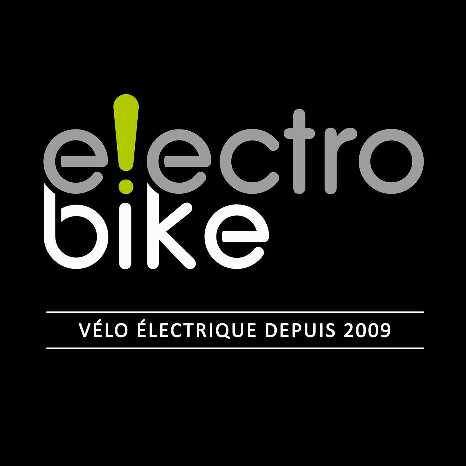 Logo electro bike